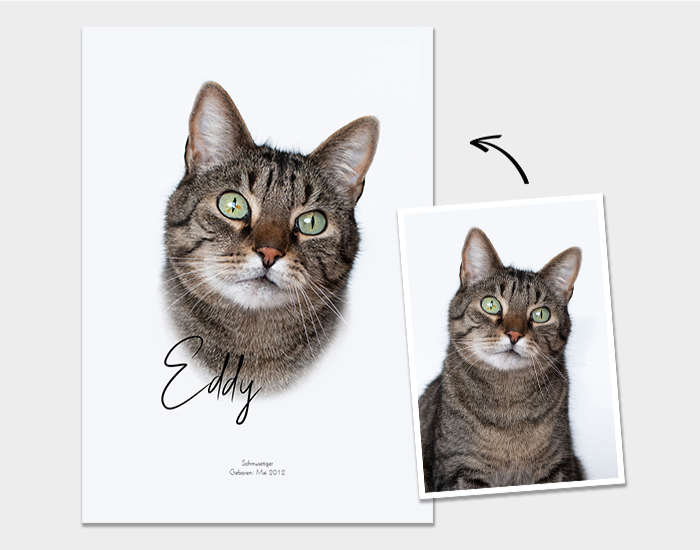 Poster Galerie1