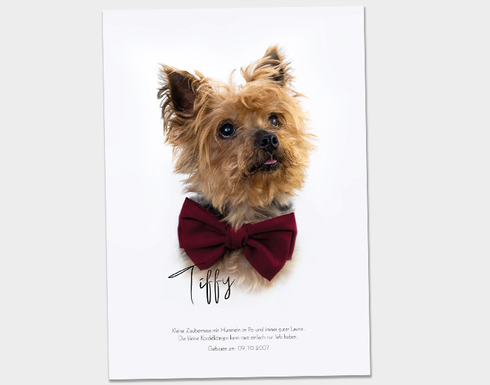 Poster Galerie3