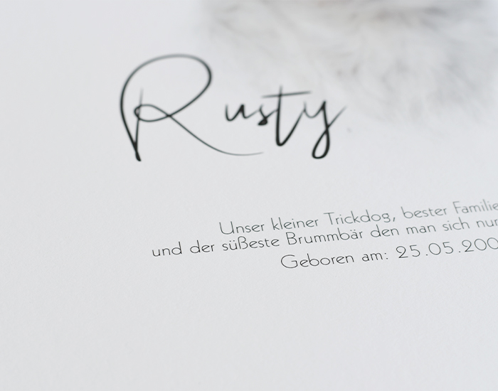 Poster Galerie4