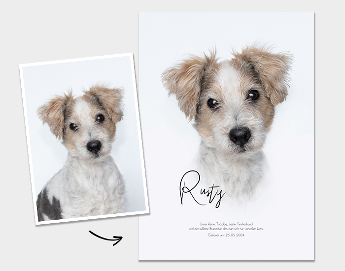 Poster Galerie8