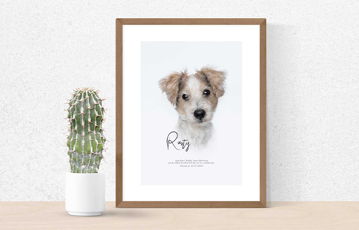 Hundefotograf-Poster-1