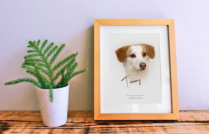 Hundefotograf-Poster-2