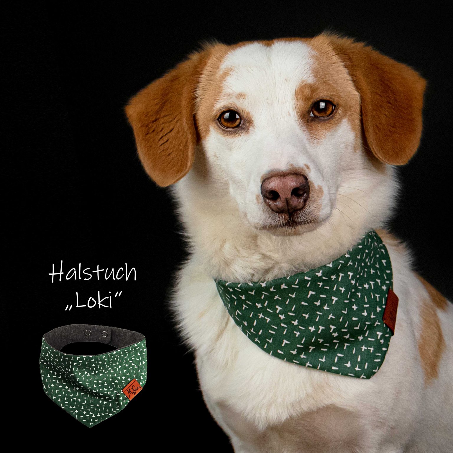 Hundehalstuch_Bandana_Hund_Loki_Timmy